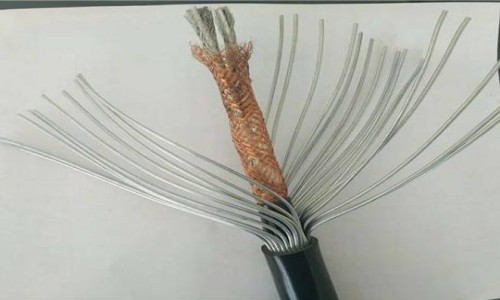 DJFPFP耐高温防腐计算机电缆
